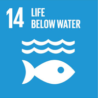 SDGs Image 