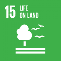 SDGs Image