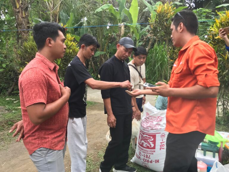 Manfaatkan Food Waste Jadi Pakan, Solusi Budidaya Lele di Rumah Tangga