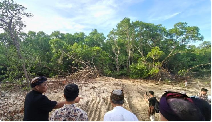 Soal Pembabatan Mangrove di Serangan  Akademisi Sebut Hukum Adat Diuji oleh Kepentingan Investasi